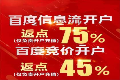 百度SEM广告投放的创意与执行：成功案例详解